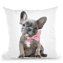 Grey Frenchie Puppy With Pink Bow Throw Pillow By Amanda Greenwood