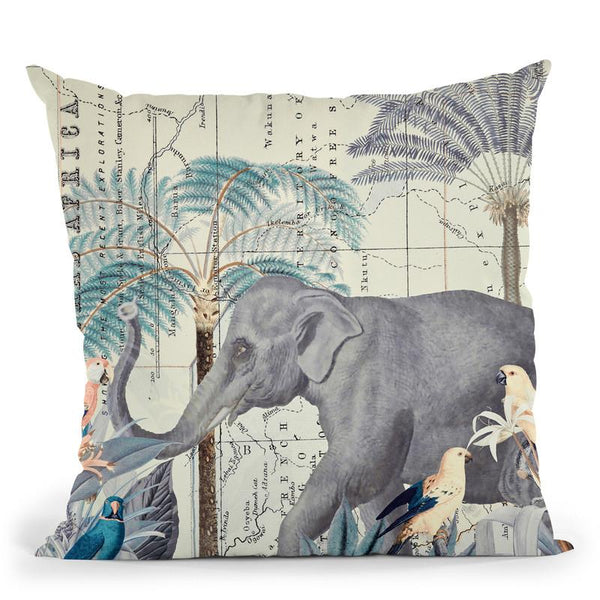 Africa Explore Throw Pillow By Andrea Haase
