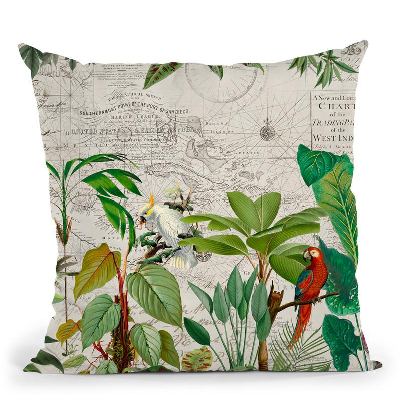 Exotic Birds Journey Throw Pillow By Andrea Haase