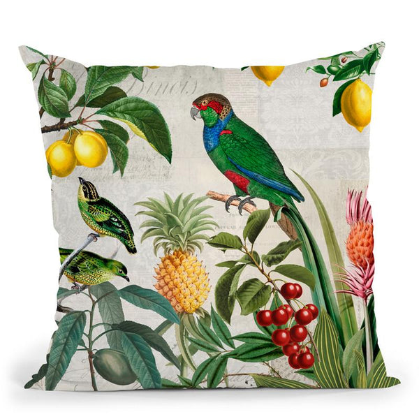 Fruit Paradise Throw Pillow By Andrea Haase