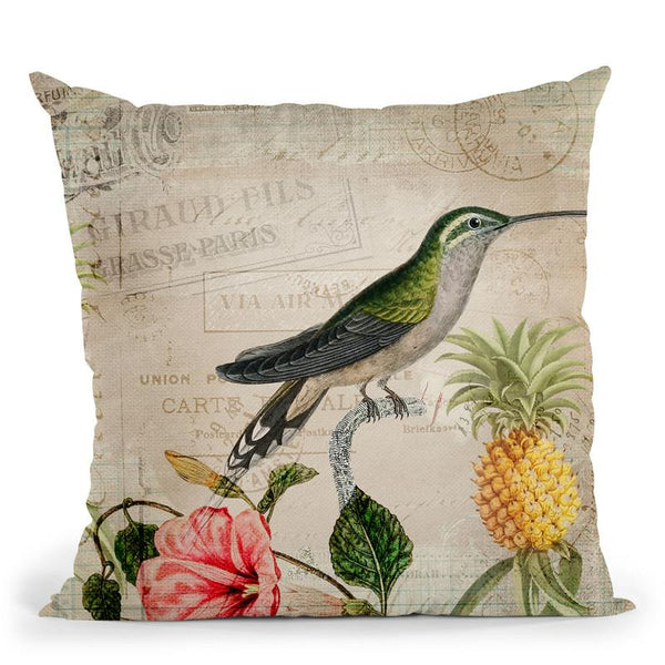 Hummingbird Ii Throw Pillow By Andrea Haase
