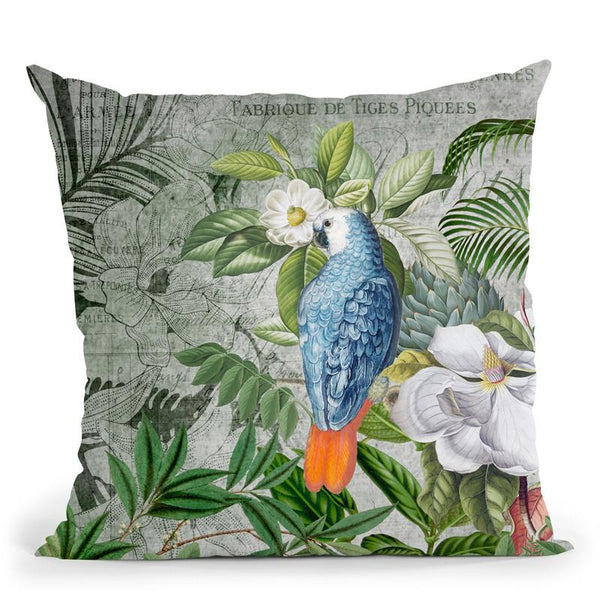 Kingdom Of Birds Throw Pillow By Andrea Haase