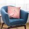 Pelikan Throw Pillow By Andrea Haase