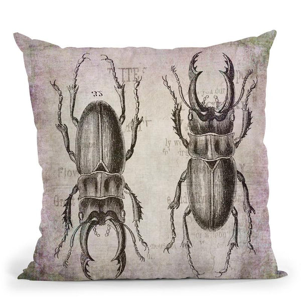 Stag Beetle Grunge Throw Pillow By Andrea Haase
