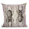 Stag Beetle Grunge Throw Pillow By Andrea Haase