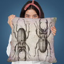 Stag Beetle Grunge Throw Pillow By Andrea Haase