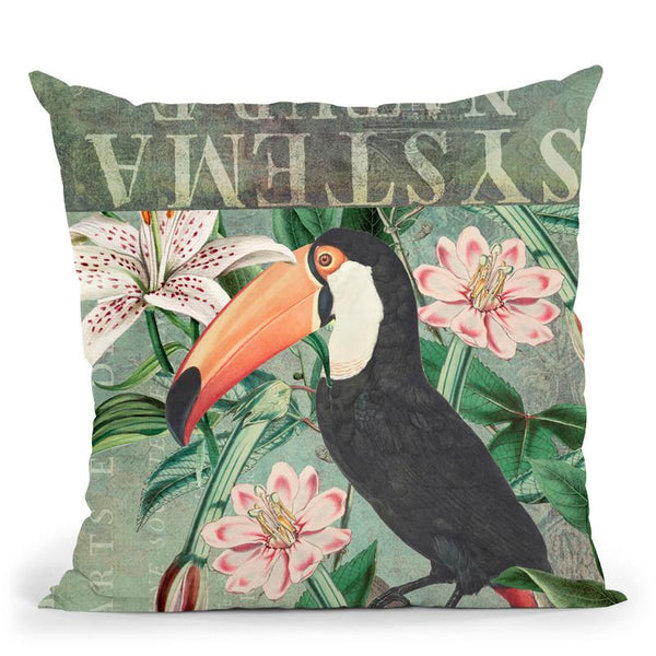 Toucan Throw Pillow By Andrea Haase
