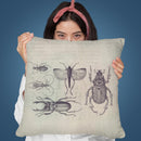 Vintage Beetles Throw Pillow By Andrea Haase