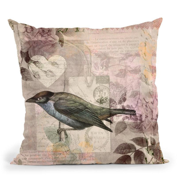 Vintage Bird Collage Throw Pillow By Andrea Haase