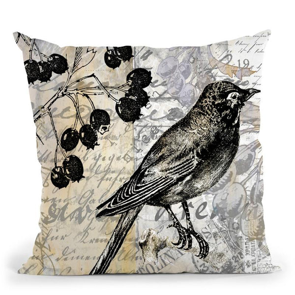 Vintage Bird Ii Throw Pillow By Andrea Haase