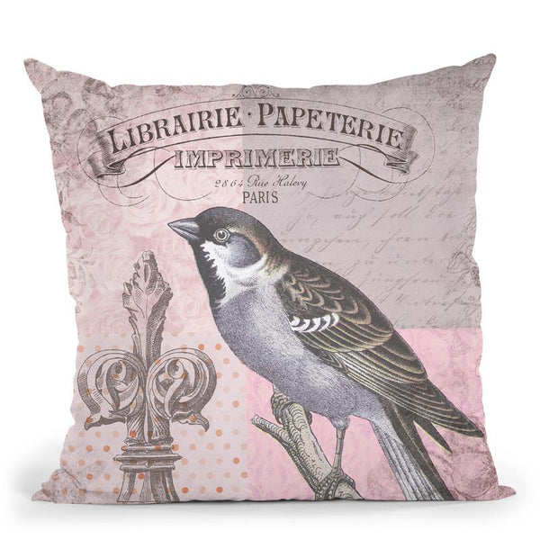 Vintage Bird Iv Throw Pillow By Andrea Haase
