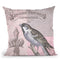 Vintage Bird Iv Throw Pillow By Andrea Haase