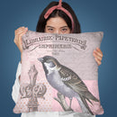 Vintage Bird Iv Throw Pillow By Andrea Haase