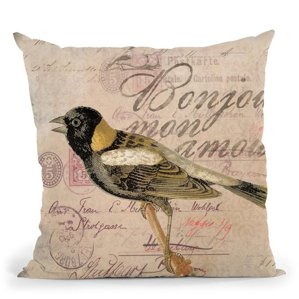 Vintage Bird Mon Amour Throw Pillow By Andrea Haase