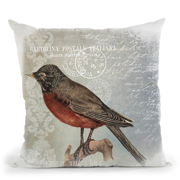 Vintage Bird V Throw Pillow By Andrea Haase