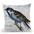 Vintage Bird Throw Pillow By Andrea Haase