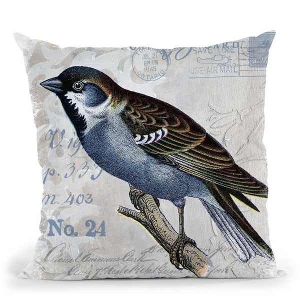 Vintage Bird Throw Pillow By Andrea Haase