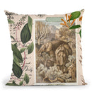 Vintage Elephant Throw Pillow By Andrea Haase