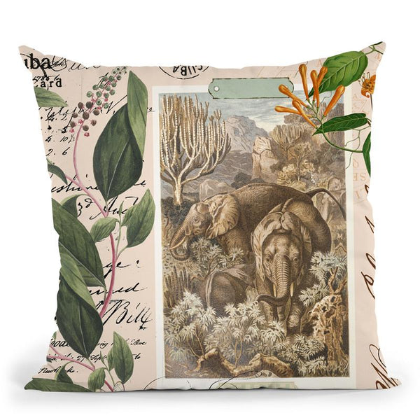 Vintage Elephant Throw Pillow By Andrea Haase