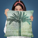 Vintage Travel I Throw Pillow By Andrea Haase