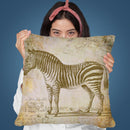 Zebra Vintage Throw Pillow By Andrea Haase
