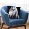 White Arabian Stallion Throw Pillow By Jenny Newland - All About Vibe