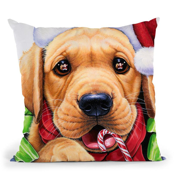 Santa? Throw Pillow By Jenny Newland - All About Vibe
