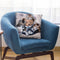 Kittens And Teddy Bear Throw Pillow By Jenny Newland - All About Vibe