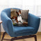 Gizmo Throw Pillow By Jenny Newland - All About Vibe