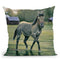 In The Pasture Throw Pillow By Jenny Newland - All About Vibe