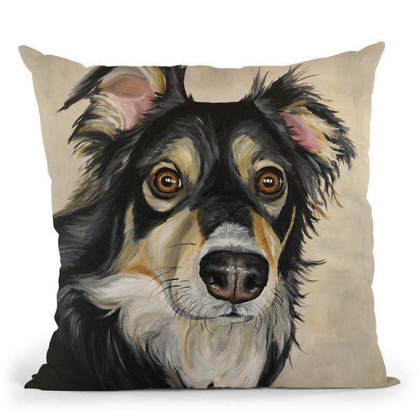 Australianepherd Sophie Throw Pillow By Hippie Hound Studios - All About Vibe