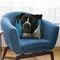 Boxer Black Boxer Throw Pillow By Hippie Hound Studios - All About Vibe