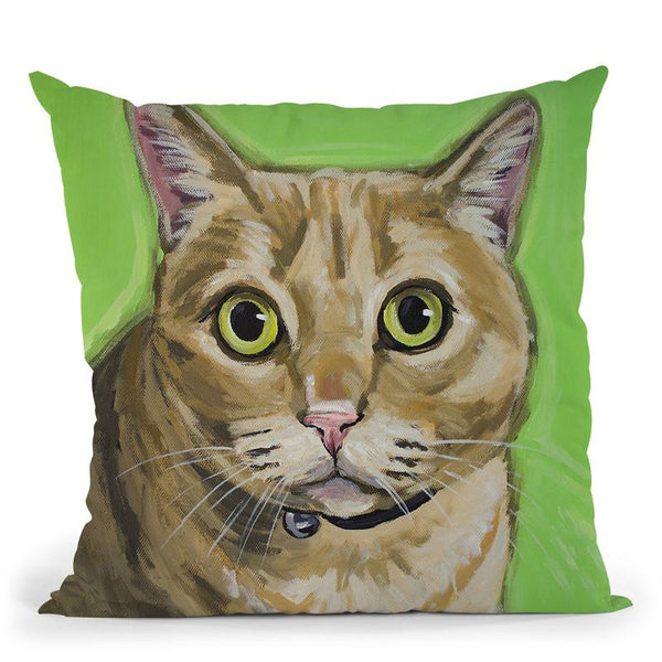 Cat Tabby Wrigley Throw Pillow By Hippie Hound Studios - All About Vibe
