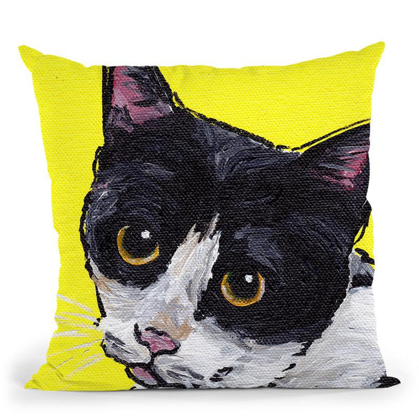 Cat Tuxedo Throw Pillow By Hippie Hound Studios - All About Vibe