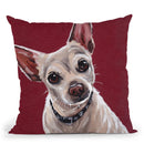 Chihuahua On Red 1 Throw Pillow By Hippie Hound Studios - All About Vibe