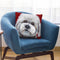 Cotton De Tulear Throw Pillow By Hippie Hound Studios - All About Vibe