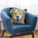 Golden Retreiver On Black Throw Pillow By Hippie Hound Studios - All About Vibe