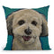 Havanese On Teal Throw Pillow By Hippie Hound Studios - All About Vibe