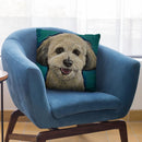 Havanese On Teal Throw Pillow By Hippie Hound Studios - All About Vibe