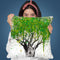 The Secret Boab Throw Pillow By Ashvin Harrison