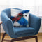 Crimson Rosella Throw Pillow By Ashvin Harrison