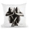 Nude Woman Charcoal Study 48 Throw Pillow By Ashvin Harrison