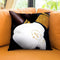 Fashion Prada Boxing Throw Pillow By Alexandre Venancio
