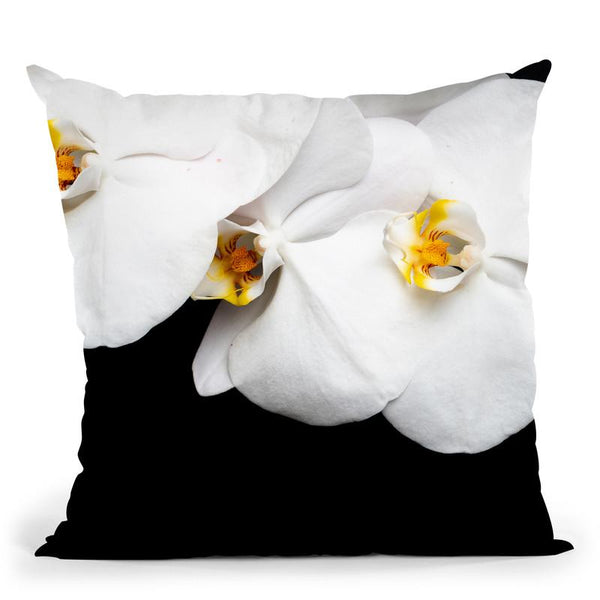 Flowers In Black Background I Throw Pillow By Alexandre Venancio