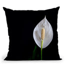 Flowers In Black Background Iii Throw Pillow By Alexandre Venancio