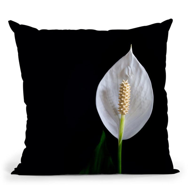 Flowers In Black Background Iii Throw Pillow By Alexandre Venancio
