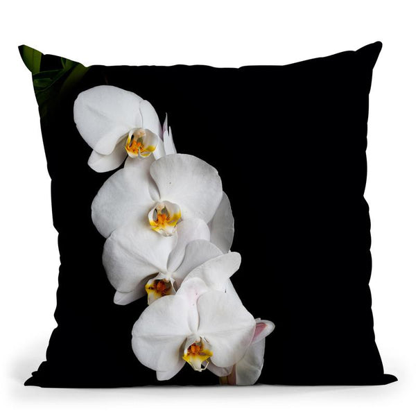 Flowers In Black Background Iv Throw Pillow By Alexandre Venancio