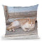 Santorini Composition Iii Throw Pillow By Alexandre Venancio