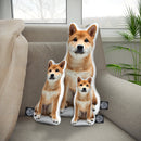 Personalized Akita Pillow