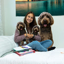Custom Dog Pillow